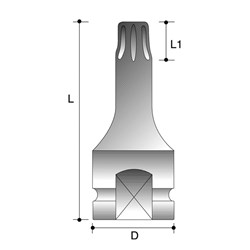 TX25 1/2" Drive 55mm Torx Impact Driver - Tamperproof